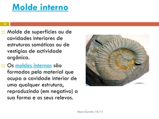 Molde interno
14


    Molde de superfícies ou de
     cavidades interiores de
     estruturas somáticas ou de
     vestígios de actividade
     orgânica.
    Os moldes internos são
     formados pelo material que
     ocupa a cavidade interior de
     uma qualquer estrutura,
     reproduzindo (em negativo) a
     sua forma e os seus relevos.

                                Nuno Correia 10/11
 
