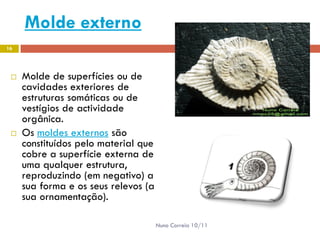 Molde externo
16




    Molde de superfícies ou de
     cavidades exteriores de
     estruturas somáticas ou de
     vestígios de actividade
     orgânica.
    Os moldes externos são
     constituídos pelo material que
     cobre a superfície externa de
     uma qualquer estrutura,
     reproduzindo (em negativo) a
     sua forma e os seus relevos (a
     sua ornamentação).

                                      Nuno Correia 10/11
 