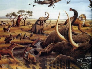 22   Nuno Correia 10/11
 