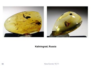 Kaliningrad, Russia




24           Nuno Correia 10/11
 