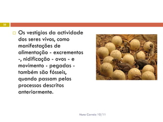 25


        Os vestígios da actividade
         dos seres vivos, como
         manifestações de
         alimentação - excrementos
         -, nidificação - ovos - e
         movimento - pegadas -
         também são fósseis,
         quando passam pelos
         processos descritos
         anteriormente.


                                 Nuno Correia 10/11
 