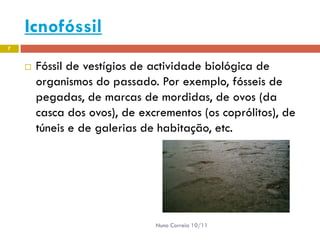 Icnofóssil
7


       Fóssil de vestígios de actividade biológica de
        organismos do passado. Por exemplo, fósseis de
        pegadas, de marcas de mordidas, de ovos (da
        casca dos ovos), de excrementos (os coprólitos), de
        túneis e de galerias de habitação, etc.




                               Nuno Correia 10/11
 