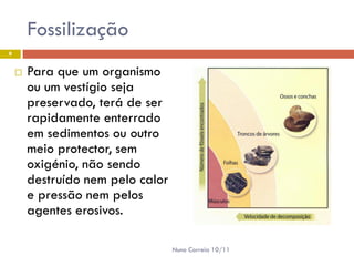 Fossilização
8


       Para que um organismo
        ou um vestígio seja
        preservado, terá de ser
        rapidamente enterrado
        em sedimentos ou outro
        meio protector, sem
        oxigénio, não sendo
        destruído nem pelo calor
        e pressão nem pelos
        agentes erosivos.

                                   Nuno Correia 10/11
 