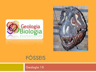 FÓSSEIS
Geologia 10
 