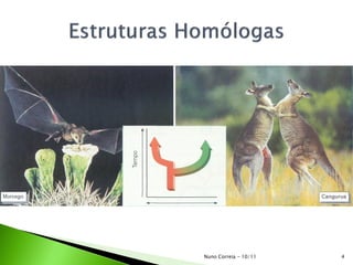 Nuno Correia - 10/11   4
 