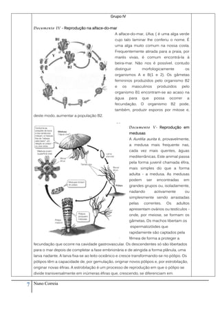 Grupo IV


    Documento IV - Reprodução na alface-do-mar
                                                  A alface-do-mar, Ulva, ( é uma alga verde
                                                  cujo talo laminar lhe conferiu o nome. É
                                                  uma alga muito comum na nossa costa.
                                                  Frequentemente atirada para a praia, por
                                                  marés vivas, é comum encontrá-la à
                                                  beira-mar. Não nos é possível, contudo
                                                  distinguir        morfologicamente             os
                                                  organismos A e B(1 e 2). Os gâmetas
                                                  femininos produzidos pelo organismo B2
                                                  e   os       masculinos      produzidos     pelo
                                                  organismo B1 encontram-se ao acaso na
                                                  água     para     que       possa    ocorrer    a
                                                  fecundação.      O     organismo     B2    pode,
                                                  também, produzir esporos por mitose e,
    deste modo, aumentar a população B2.


                                                           Documento V - Reprodução em
                                                           medusas
                                                           A Aurélia aurita é, provavelmente,
                                                           a medusa mais frequente nas,
                                                           cada vez mais quentes, águas
                                                           mediterrânicas. Este animal passa
                                                           pela forma juvenil chamada éfira,
                                                           mais simples do que a forma
                                                           adulta - a medusa. As medusas
                                                           podem        ser    encontradas       em
                                                           grandes grupos ou, isoladamente,
                                                           nadando            activamente        ou
                                                           simplesmente sendo arrastadas
                                                           pelas       correntes.     Os    adultos
                                                           apresentam ovários ou testículos -
                                                           onde, por meiose, se formam os
                                                           gâmetas. Os machos libertam os
                                                           espermatozóides que
                                                           rapidamente são captados pela
                                                           fêmea de forma a proteger a
    fecundação que ocorre na cavidade gastrovascular. Os descendentes só são libertados
    para o mar depois de completar a fase embrionária e de atingida a forma plânula, uma
    larva nadante. A larva fixa-se ao leito oceânico e cresce transformando-se no pólipo. Os
    pólipos têm a capacidade de, por gemulação, originar novos pólipos e, por estrobilação,
    originar novas éfiras. A estrobilação é um processo de reprodução em que o pólipo se
    divide transversalmente em inúmeras éfiras que, crescendo, se diferenciam em


7   Nuno Correia
 
