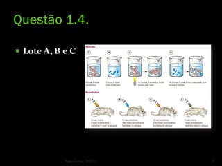    Lote A, B e C




              Nuno Correia 2010/11   12
 