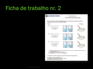 Nuno Correia 2010/11   14
 