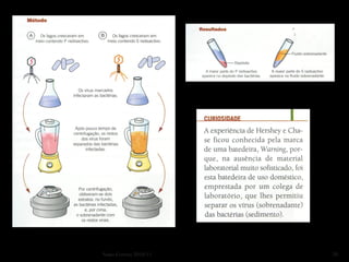 Nuno Correia 2010/11   20
 