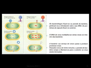 Nuno Correia 2010/11   23
 