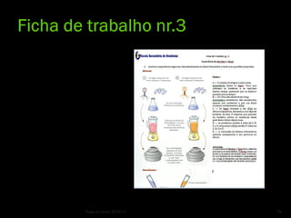 Nuno Correia 2010/11   24
 