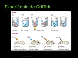 Nuno Correia 2010/11   6
 