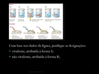 Com base nos dados da figura, justifique as designações:
 virulenta, atribuída à forma S;
 não virulenta, atribuída à forma R;



              Nuno Correia 2010/11                         8
 