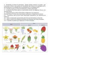 Estudo da Flor e do Fruto | PDF