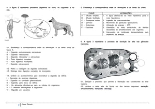 4. A figura 6 representa processos digestivos na hidra, no cogumelo e no    5. Estabeleça a correspondência entre as afirmações e as letras da chave.
cão.

                                                                                        CHAVE                                   AFIRMAÇÕES
                                                                            A   -   Difusão simples      1.   A água desloca-se do meio hipotónico para o
                                                                            B   -   Difusão facilitada        meio hipertónico.
                                                                            C   -   Transporte activo    2.   Ingestão de macromoléculas.
                                                                            D   -   Osmose               3.   Movimento de partículas lipossolúveis.
                                                                            E   -   Endocitose           4.   Utilização de energia - ATP.
                                                                            F   -   Exocitose            5.   Libertação, no meio extracelular, de detritos
                                                                                                              resultantes do envelhecimento dos organitos.
                                                                                                         6.   Intervenção de moléculas transportadoras sem
                                                                                                              dispêndio de energia.



                                                                            6. A figura 3 representa o processo de secreção de leite nas glândulas
                                                                            mamárias.

4.1. Estabeleça a correspondência entre as afirmações e os seres vivos da
figura 6.
A - Digestão exclusivamente extracelular.
B - Digestão intracorporal.
C - Digestão intracelular e extracelular.
D - Tubo digestivo completo.
E - Tubo digestivo incompleto.
F - Digestão extracorporal.

4.2. Refira a vantagem da digestão extracelular.
4.3. Distinga tubo digestivo completo de incompleto.

4.4. Ordene os acontecimentos para reconstituir a digestão da dáfnia.
I - Secreção de enzimas digestivas.
II - Digestão na cavidade gastrovascular.
                                                                            6.1. Designe o processo que permite a libertação dos constituintes do leite
III - Ingestão, pela boca, da dáfnia.
                                                                            materno.
IV - Os alimentos difundem-se para as células do organismo.
                                                                            6.2. Atribua a cada letra da figura um dos termos seguintes: secreção;
V - O alimento semidigerido é fagocitado.
                                                                            armazenamento; transporte; descarga.
VI - Digestão em vacúolos.




             2   Nuno Correia
 