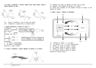 4.3.A figura 4 representa o percurso seguido pelos ácidos gordos, lactose e   6.1. Identifique o(s) tipo(s) de digestão dos seres vivos da figura.
caseína (proteína) do leite.                                                  6.2. lassifique o tubo digestivo da planaria e do Homem.
                                                                              6.3. Indique duas vantagens do tubo digestivo humano em relação ao tubo
                                                                              digestivo da planaria.

                                                                              7. Analise a figura 7 referente à fotossíntese.




4.3.1.   Indique a substância a que se refere cada gráfico.
4.3.2.   Fundamente a resposta dada na questão anterior.

5. Analise atentamente o esquema da figura 5.
5.1.Identifique           as
moléculas      representadas
pelos números 1
5.2.         A       reacção
assinalada pela letra X
é:
A     -    de    síntese   e
exoenergética.
B     -    de    análise   e
exoenergética.
C - de síntese e endoenergética.                                              7.1.   Identifique as etapas l e II da figura.
D - de análise e endoenergética.                                              7.2.   Os números 1, 2, 3 e 4 são, respectivamente:
(Seleccione a opção correcta.)                                                A - oxigénio, luz, dióxido de carbono e glicose.
                                                                              B - luz, oxigénio, dióxido de carbono e glicose.
6. A figura 6 representa o sistema digestivo da planaria e do Homem.          C - oxigénio, luz, glicose e dióxido de carbono.
                                                                              D - luz, oxigénio, glicose e dióxido de carbono.
                                                                              (Seleccione a opção correcta.)




              3   Nuno Correia
 