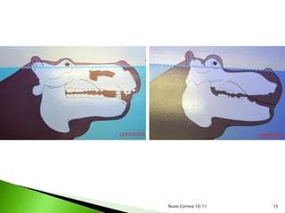Nuno Correia 10/11   15
 