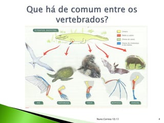 Nuno Correia 10/11   4
 