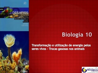 B20  - Transformação e utilização de energia pelos seres vivos - Trocas Gasosas nos animais