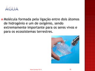  Moléculaformada pela ligação entre dois átomos
 de hidrogénio e um de oxigénio, sendo
 extremamente importante para os seres vivos e
 para os ecossistemas terrestres.




                 Nuno Correia 10/11      10
 