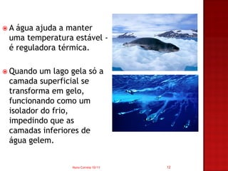 A água ajuda a manter
 uma temperatura estável -
 é reguladora térmica.

 Quando  um lago gela só a
 camada superficial se
 transforma em gelo,
 funcionando como um
 isolador do frio,
 impedindo que as
 camadas inferiores de
 água gelem.


                  Nuno Correia 10/11   12
 