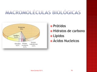  Prótidos
                      Hidratos   de carbono
                      Lípidos
                      Ácidos    Nucleicos




Nuno Correia 10/11                   16
 