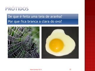 De que é feita uma teia de aranha?
Por que fica branca a clara do ovo?




              Nuno Correia 10/11      17
 