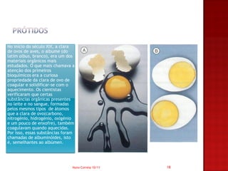 No início do século XIX, a clara
de ovos de aves, o albume (do
latim albus, branco), era um dos
materiais orgânicos mais
estudados. O que mais chamava a
atenção dos primeiros
bioquímicos era a curiosa
propriedade da clara de ovo de
coagular e solidificar-se com o
aquecimento. Os cientistas
verificaram que certas
substâncias orgânicas presentes
no leite e no sangue, formadas
pelos mesmos tipos de átomos
que a clara de ovo(carbono,
nitrogénio, hidrogénio, oxigénio
e um pouco de enxofre), também
coagulavam quando aquecidas.
Por isso, essas substâncias foram
chamadas de albuminóides, isto
é, semelhantes ao albúmen.




                               Nuno Correia 10/11   18
 
