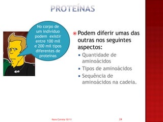 No corpo de
 um indivíduo
                               Podem diferir umas das
podem existir
 entre 100 mil                 outras nos seguintes
e 200 mil tipos                aspectos:
 diferentes de
   proteínas                      Quantidade de
                                   aminoácidos
                                  Tipos de aminoácidos
                                  Sequência de
                                   aminoácidos na cadeia.




         Nuno Correia 10/11                      24
 
