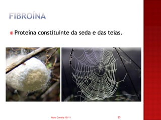  Proteína   constituinte da seda e das teias.




                  Nuno Correia 10/11        25
 