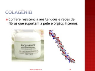  Confere resistência aos tendões e redes de
 fibras que suportam a pele e órgãos internos.




              Nuno Correia 10/11        26
 