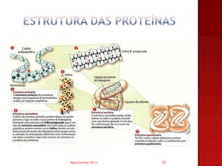 Nuno Correia 10/11   27
 