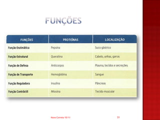 Nuno Correia 10/11   31
 
