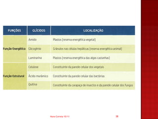 Nuno Correia 10/11   38
 