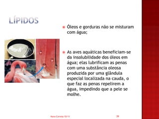     Óleos e gorduras não se misturam
               com água;



              As aves aquáticas beneficiam-se
               da insolubilidade dos óleos em
               água; elas lubrificam as penas
               com uma substância oleosa
               produzida por uma glândula
               especial localizada na cauda, o
               que faz as penas repelirem a
               água, impedindo que a pele se
               molhe.



Nuno Correia 10/11                    39
 