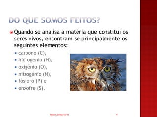  Quando  se analisa a matéria que constitui os
 seres vivos, encontram-se principalmente os
 seguintes elementos:
    carbono (C),
    hidrogénio (H),
    oxigénio (O),
    nitrogénio (N),
    fósforo (P) e
    enxofre (S).




                  Nuno Correia 10/11      4
 