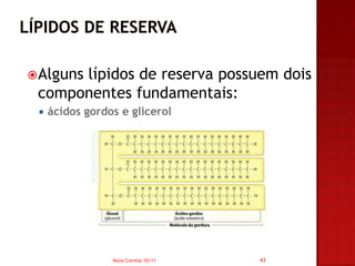  Alguns
      lípidos de reserva possuem dois
 componentes fundamentais:
    ácidos gordos e glicerol




                 Nuno Correia 10/11   43
 