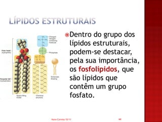  Dentro    do grupo dos
                lípidos estruturais,
                podem-se destacar,
                pela sua importância,
                os fosfolípidos, que
                são lípidos que
                contêm um grupo
                fosfato.


Nuno Correia 10/11            44
 