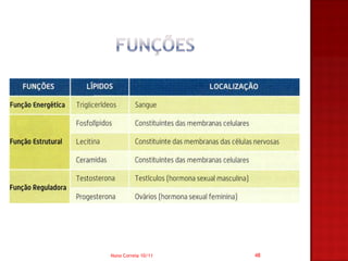 Nuno Correia 10/11   48
 