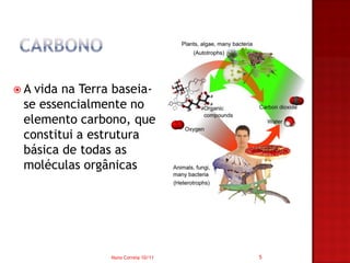 A vida na Terra baseia-
 se essencialmente no
 elemento carbono, que
 constitui a estrutura
 básica de todas as
 moléculas orgânicas




                Nuno Correia 10/11   5
 