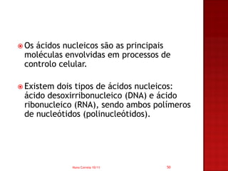  Osácidos nucleicos são as principais
 moléculas envolvidas em processos de
 controlo celular.

 Existemdois tipos de ácidos nucleicos:
 ácido desoxirribonucleico (DNA) e ácido
 ribonucleico (RNA), sendo ambos polímeros
 de nucleótidos (polinucleótidos).




             Nuno Correia 10/11      50
 