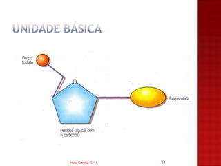 Nuno Correia 10/11   51
 