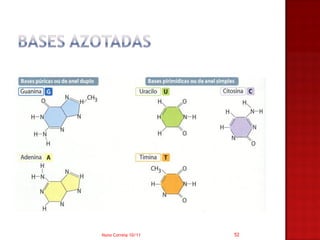 Nuno Correia 10/11   52
 