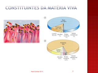 Nuno Correia 10/11   7
 