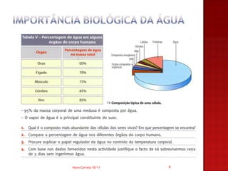 Nuno Correia 10/11   9
 