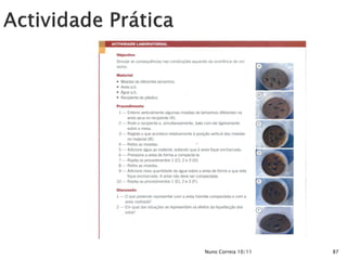 Nuno Correia 10/11   87
 