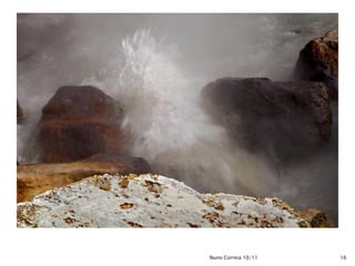 Nuno Correia 10/11   16
 