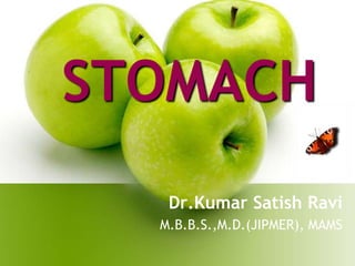 STOMACH
Dr.Kumar Satish Ravi
M.B.B.S.,M.D.(JIPMER), MAMS
 