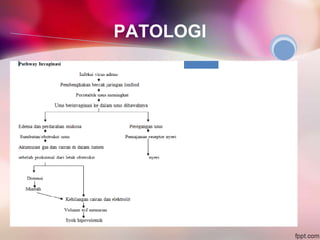 PATOLOGI
 