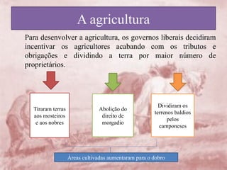 A agricultura
Para desenvolver a agricultura, os governos liberais decidiram
incentivar os agricultores acabando com os tributos e
obrigações e dividindo a terra por maior número de
proprietários.
Tiraram terras
aos mosteiros
e aos nobres
Abolição do
direito de
morgadio
Dividiram os
terrenos baldios
pelos
camponeses
Áreas cultivadas aumentaram para o dobro
 